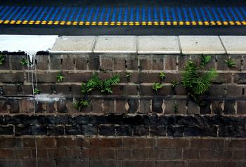 �˿�������������Ƶ����ȭ��������ҥ�� ���Ű�����鴦31�Ҵ���ҥ����վ...